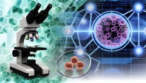 future directions in thymoquinone research